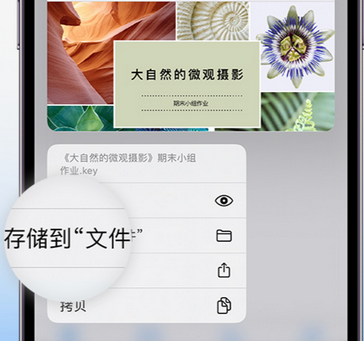 汇川apple维修中心分享iPhone文件应用中存储和找到下载文件