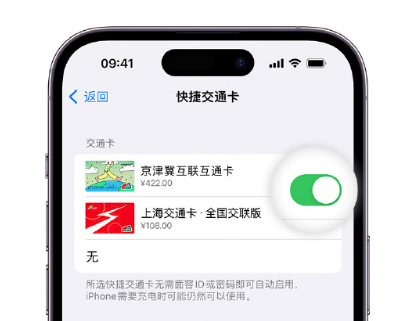 汇川apple维修点分享iPhone上更换Apple Pay快捷交通卡手绘卡面 