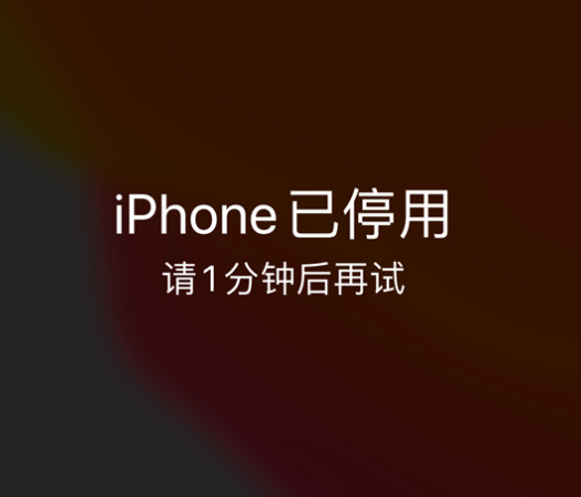 汇川苹果手机维修分享:iPhone 显示“不可用”或“已停用”怎么办？还能保留数据吗？ 