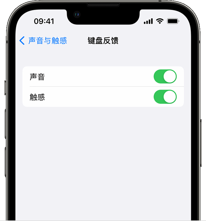 汇川苹果14维修店分享如何在 iPhone 14 机型中使用触感键盘 