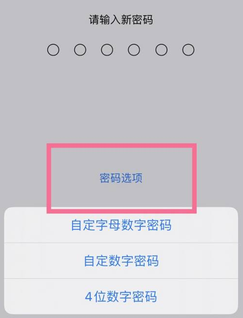 汇川苹果14维修分享iPhone 14plus设置密码的方法 