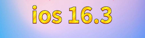 汇川苹果服务网点分享苹果iOS16.3升级反馈汇总 