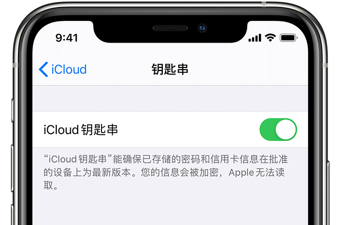 汇川苹果手机维修分享在 iPhone 上开启 iCloud 钥匙串之后会储存哪些信息 